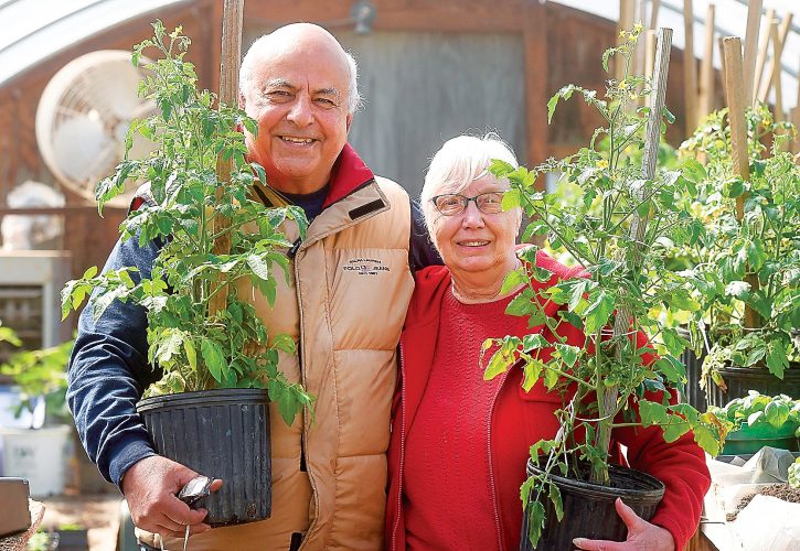 Greenhouse gardening News, Sports, Jobs Altoona Mirror